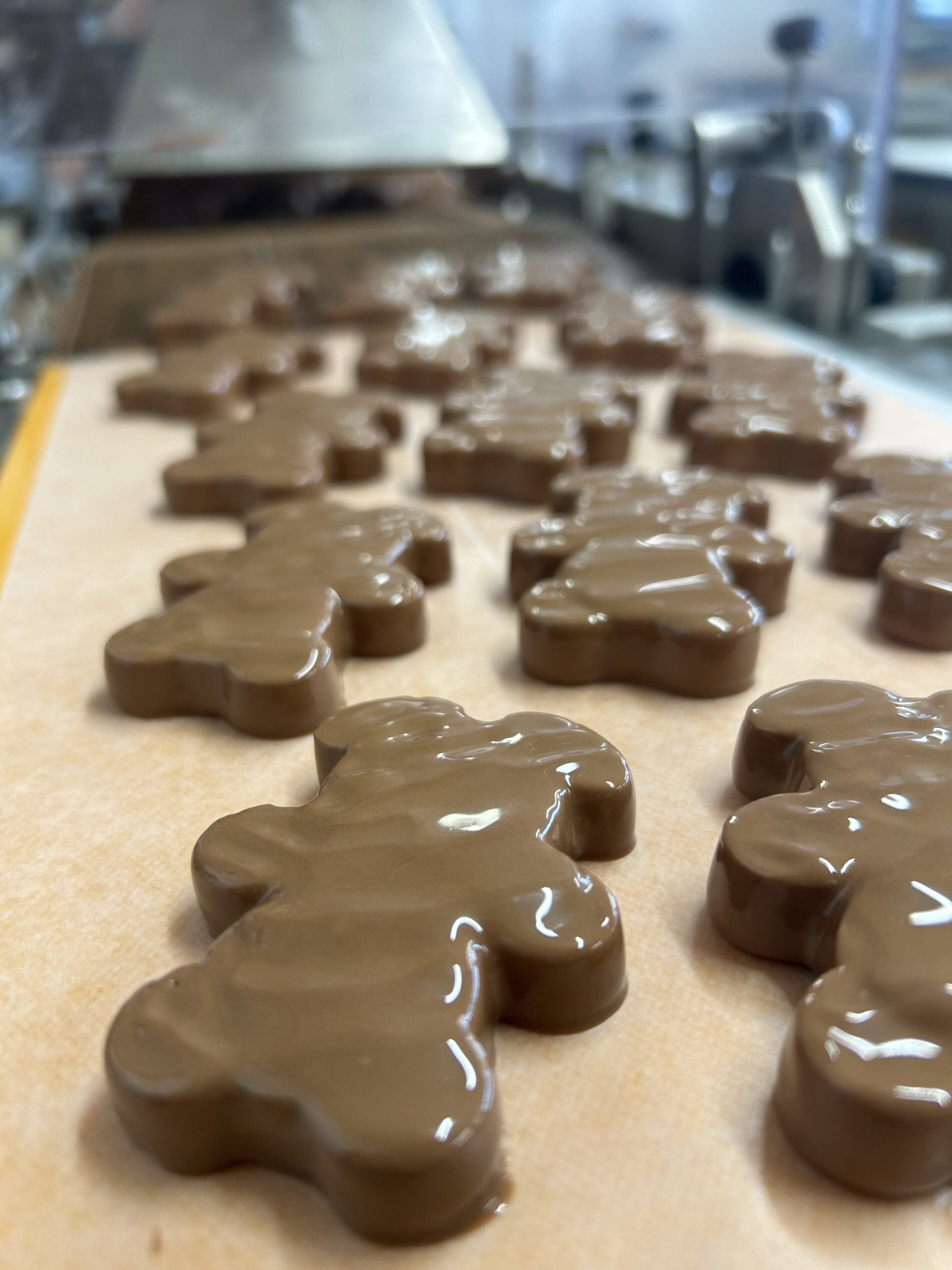 Chocolaterie artisanale Tartapain