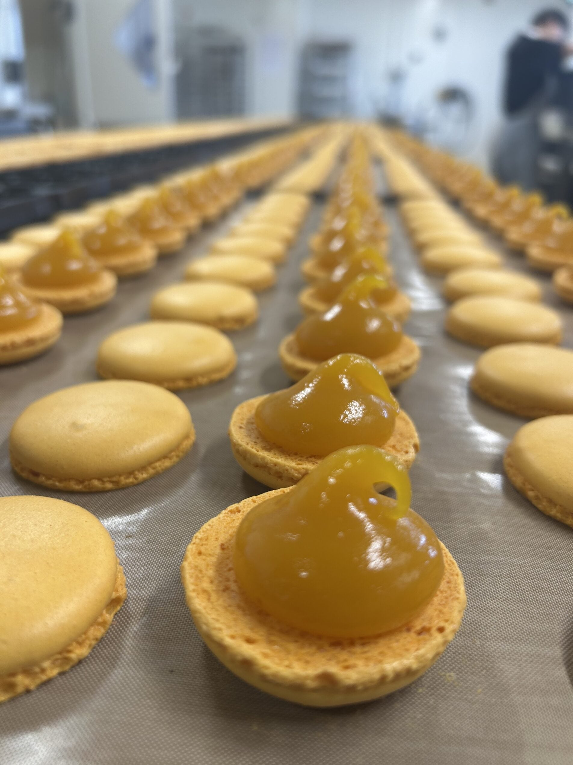 macaron artisanal fabrication locale tartapain